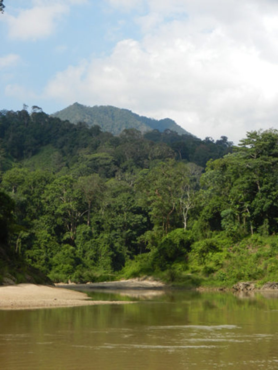 mountain