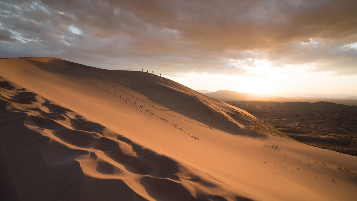 This winter, add the desert to your list of must-see destinations. Photo: Courtesy of Joshua Sortino/Unsplash