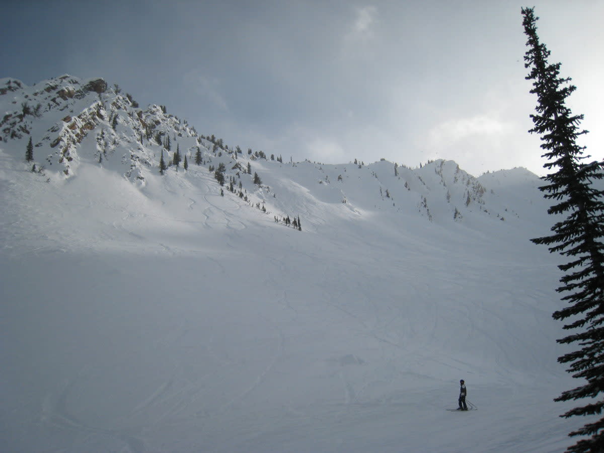 kicking horse mountain resort british columbia backcountry