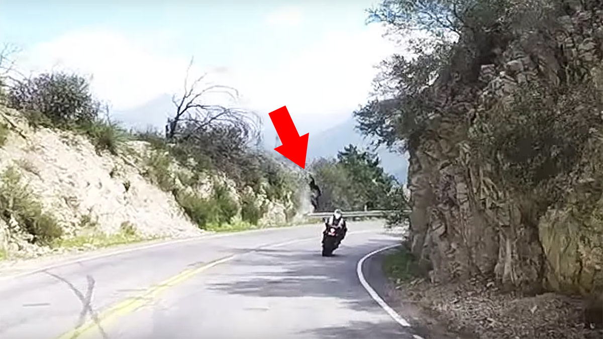 MotorcycleCrashOffCliffAngelesNationalForest