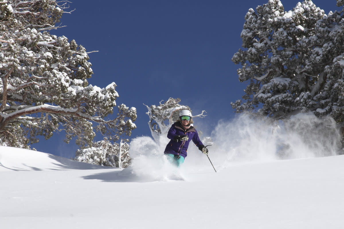 Squaw Valley Alpine Meadows ski season