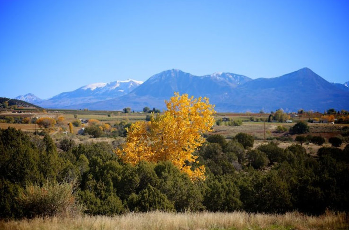 Colorado tiny home