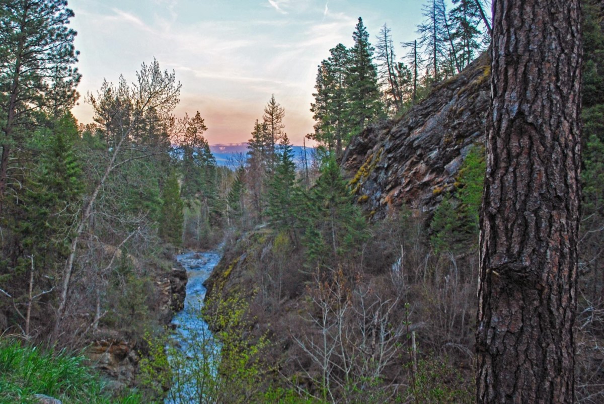 Kootenai creek dagmara mach visit montana
