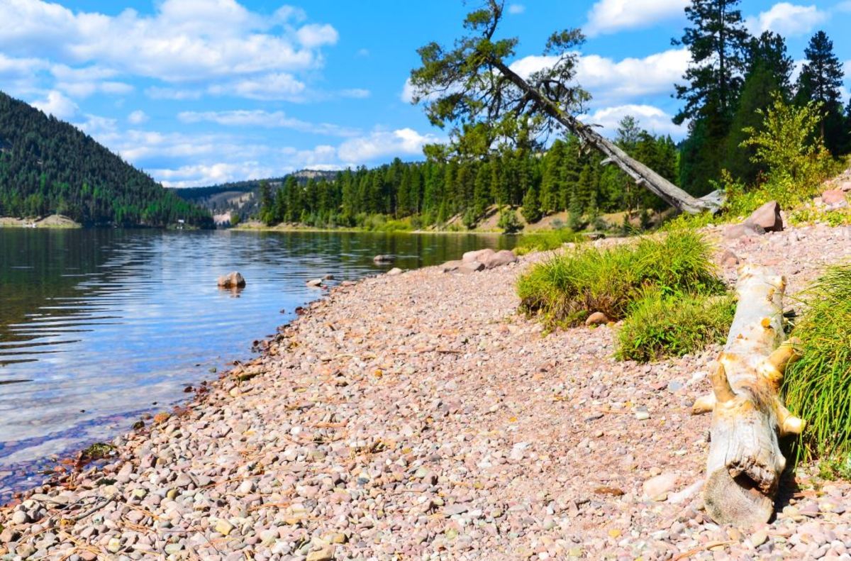 salmon lake