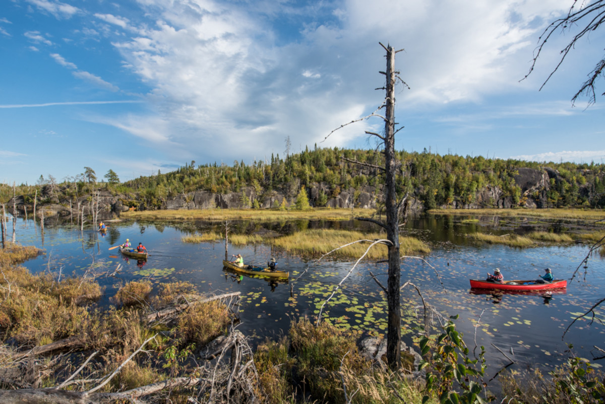 Schmidt_160921_bwca _125984