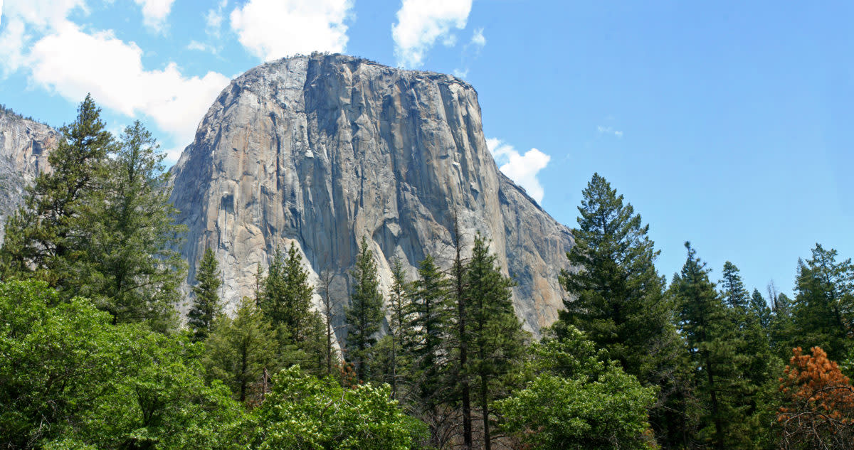 El Capitan climb Alex honnold Climb el capitan free solo