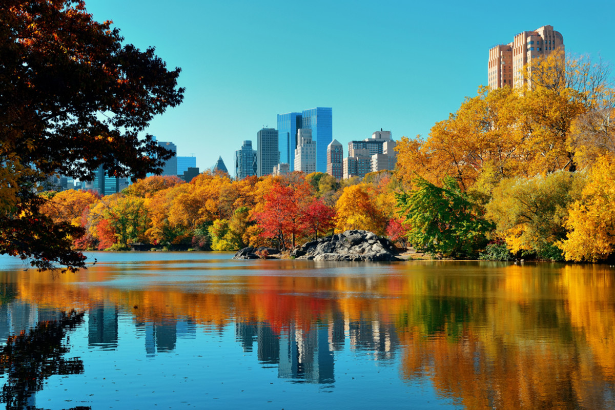 Central Park in the Fall