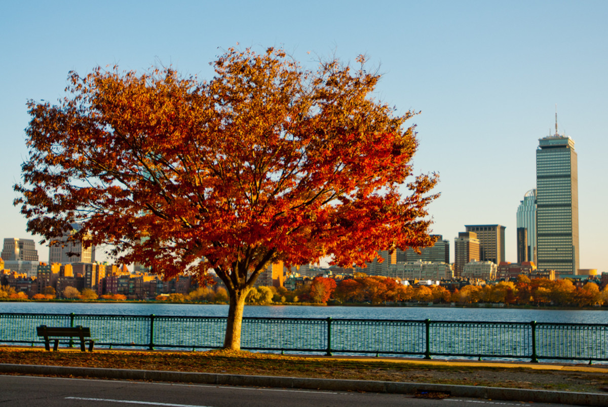The Charles River in Boston