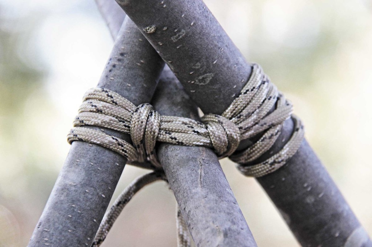 palomar knot