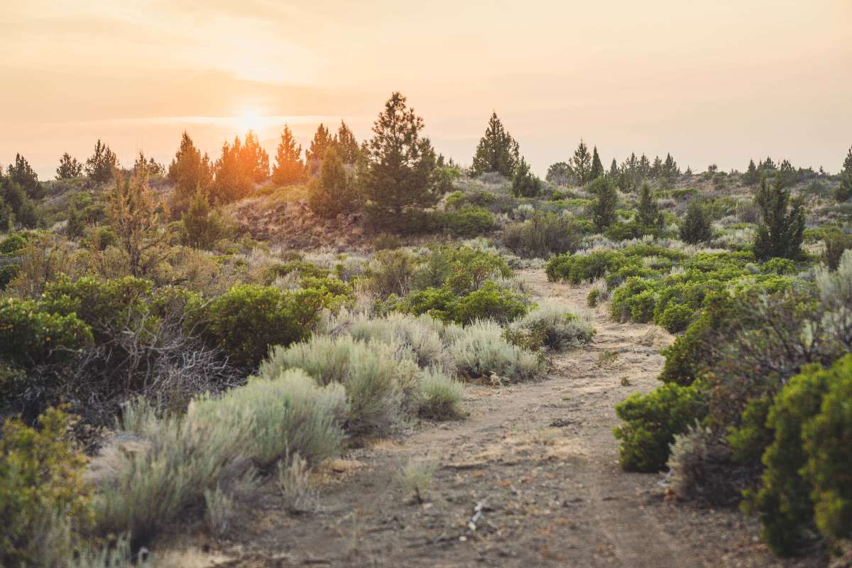 ghost town campsites