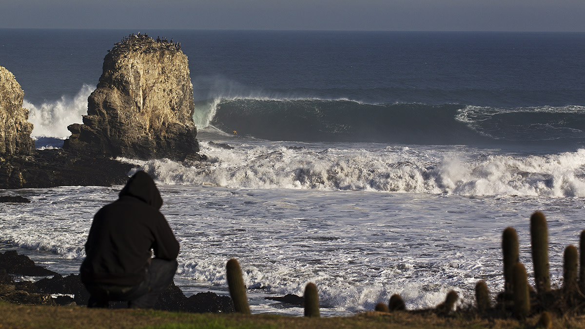 Chile – Punta lobos