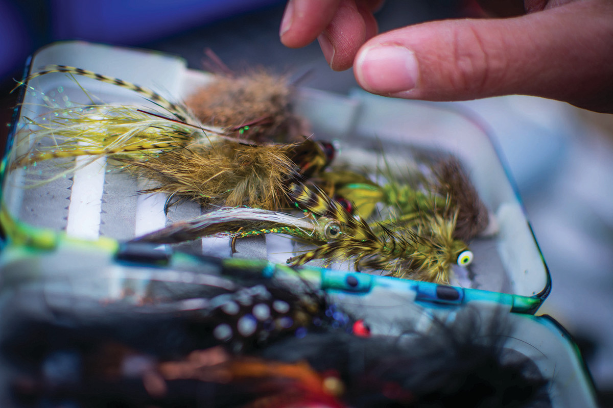 new mexico wintertime flyfishing