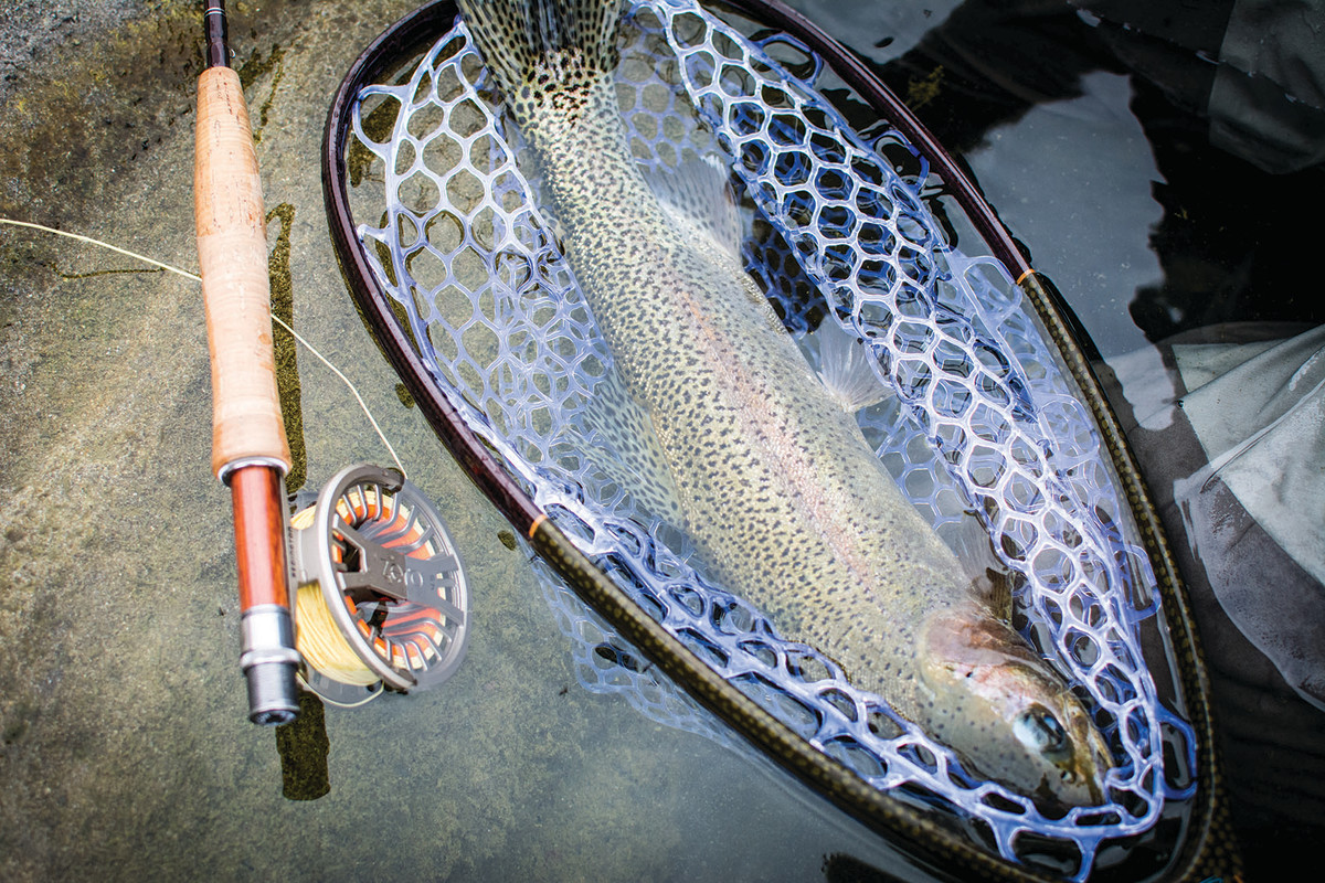 new mexico wintertime flyfishing