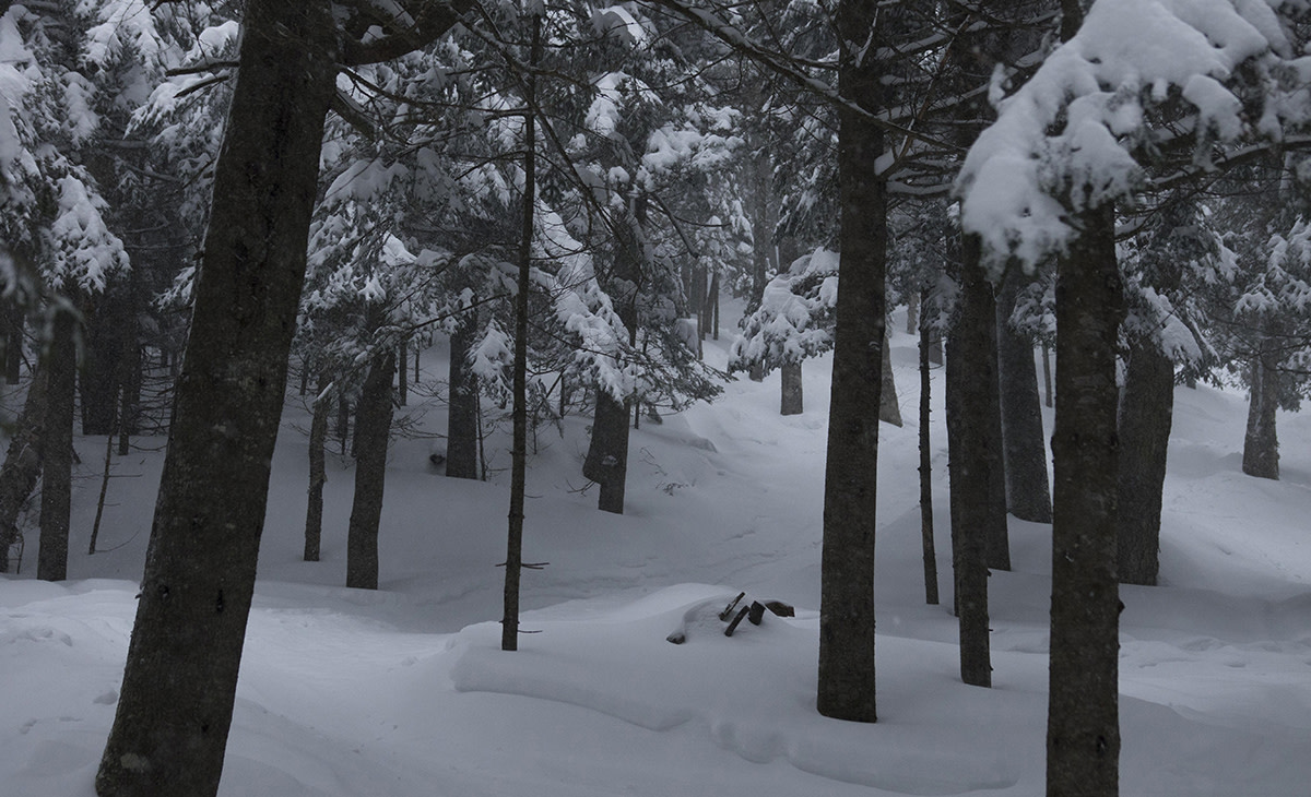 Travel to Killington, Vermont without killing your savings ...