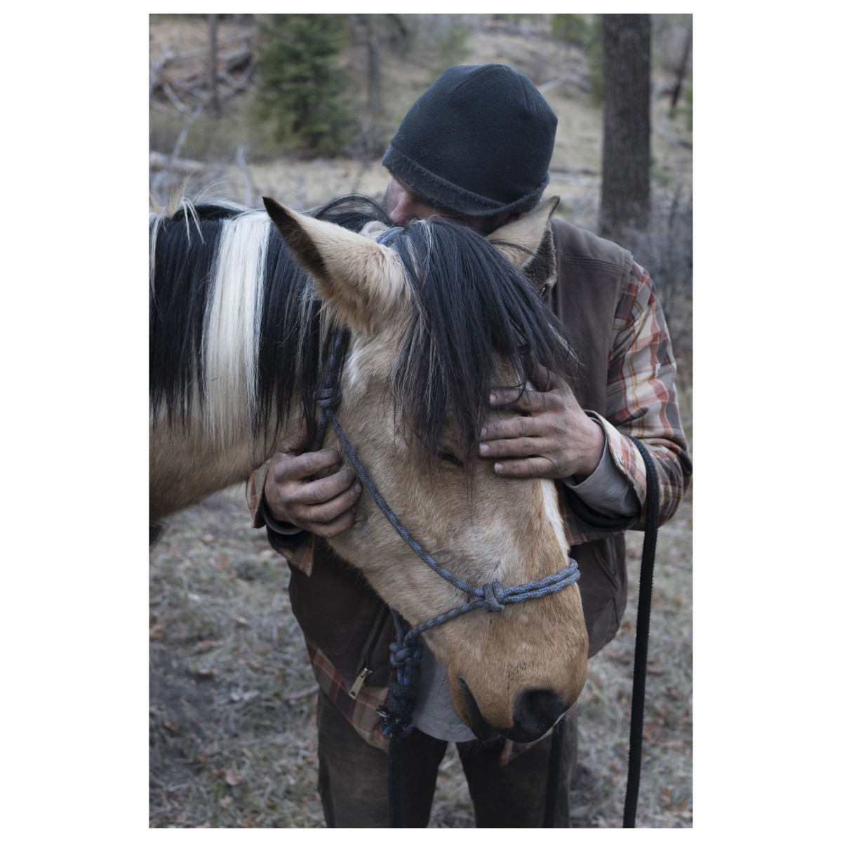 heroes and horses