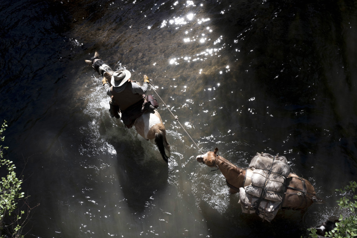 heroes and horses
