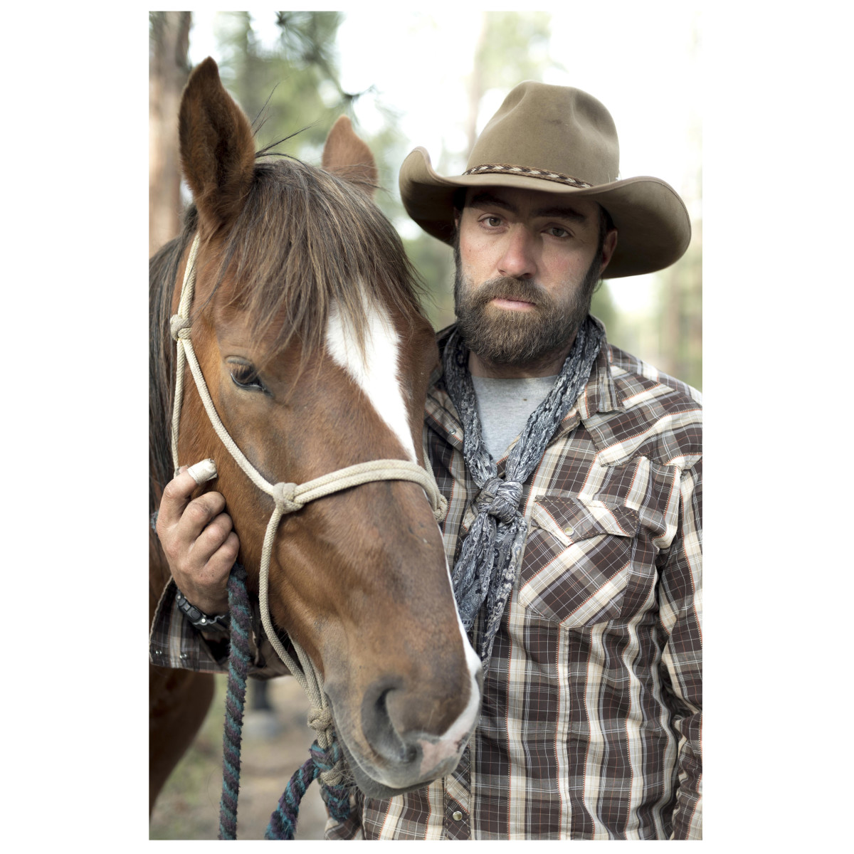 micah fink - heroes and horses