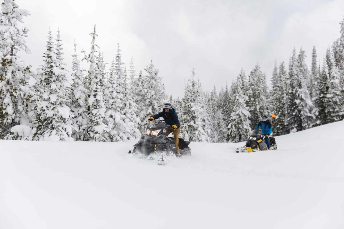Two men drive snowmobiles through fresh powder in the woods of Tumbler Ridge.