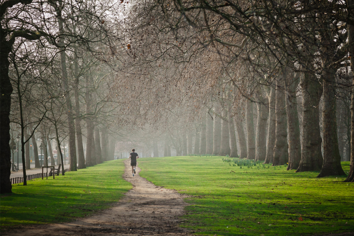London Travel Guide
