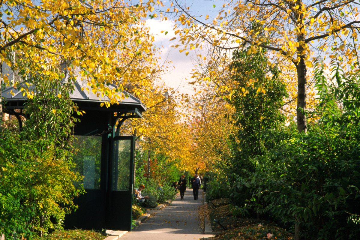 Paris travel guide
