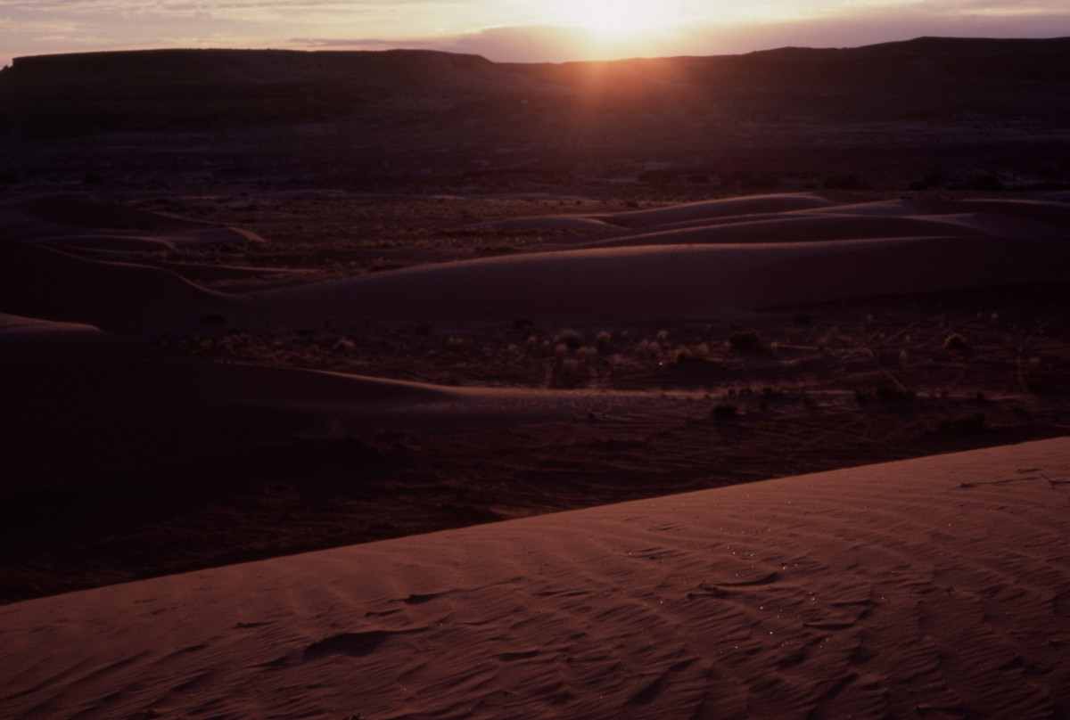 Coral Pink Sand Dunes