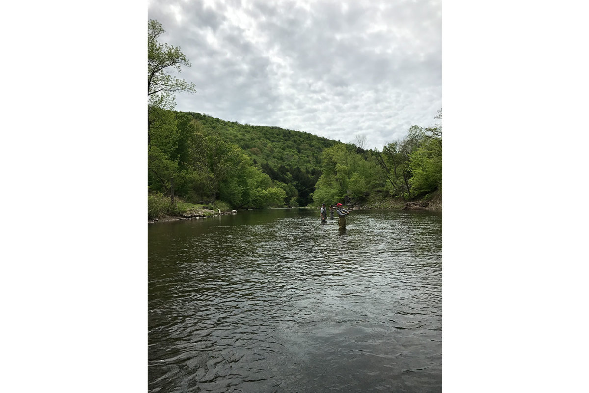 flyfishinngg