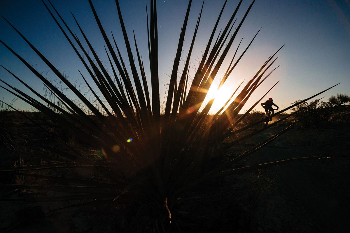mountain biking terlingua texas