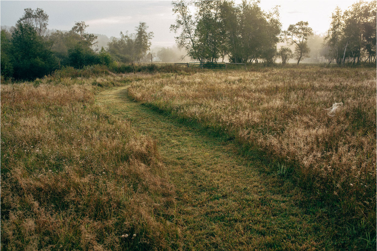 The-DeBruce-fall
