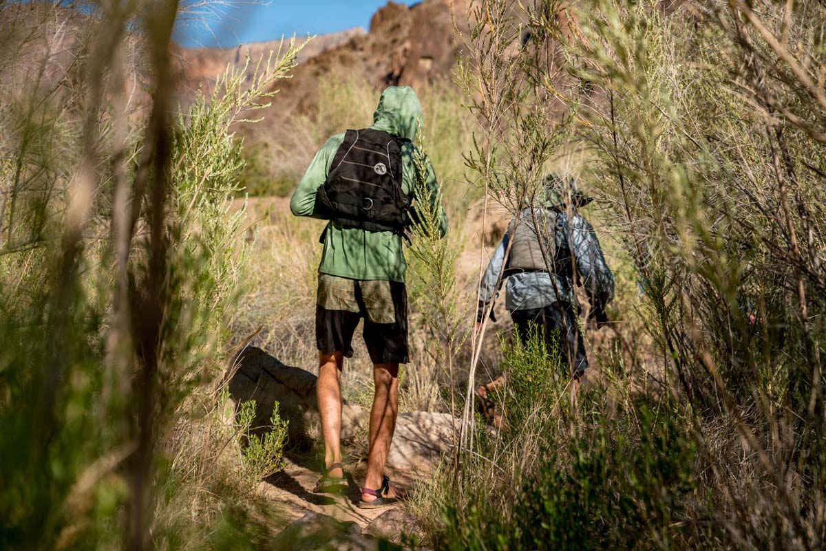 dispatches grand canyon 