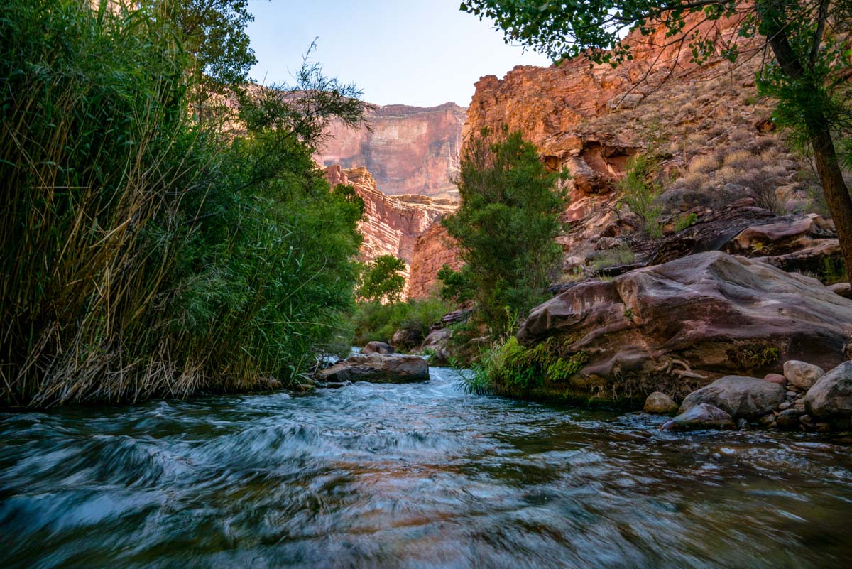 dispatches grand canyon