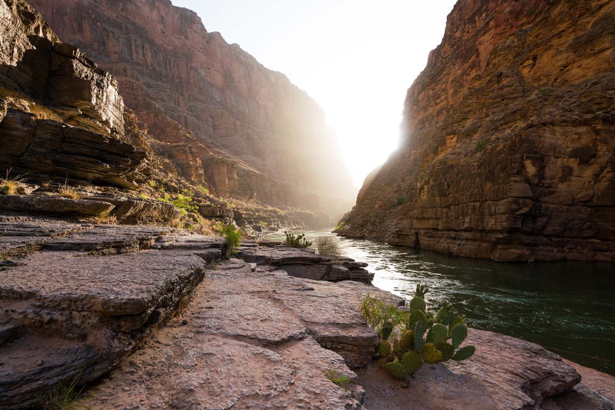 dispatches grand canyon 