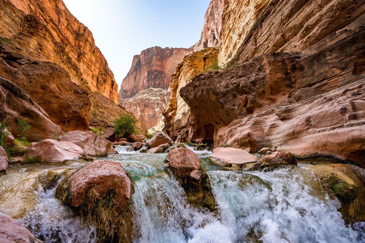 dispatches grand canyon