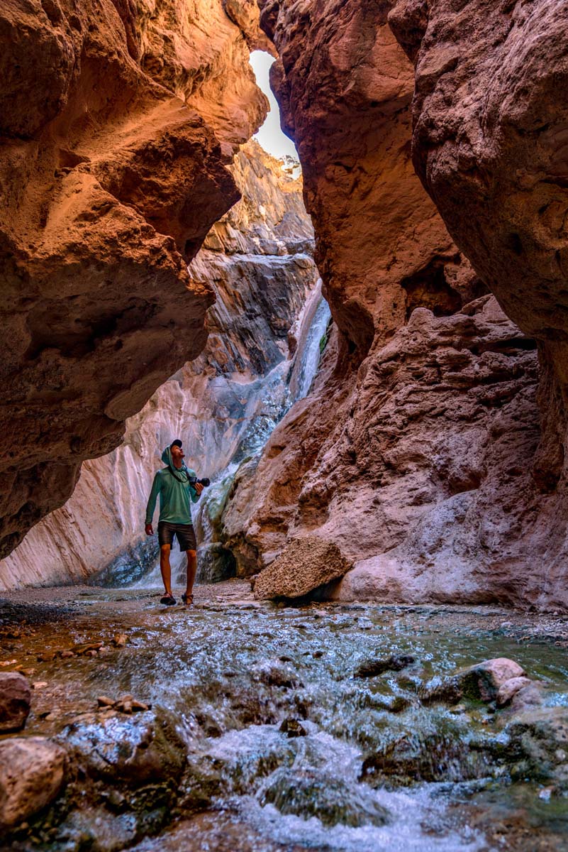 dispatches grand canyon