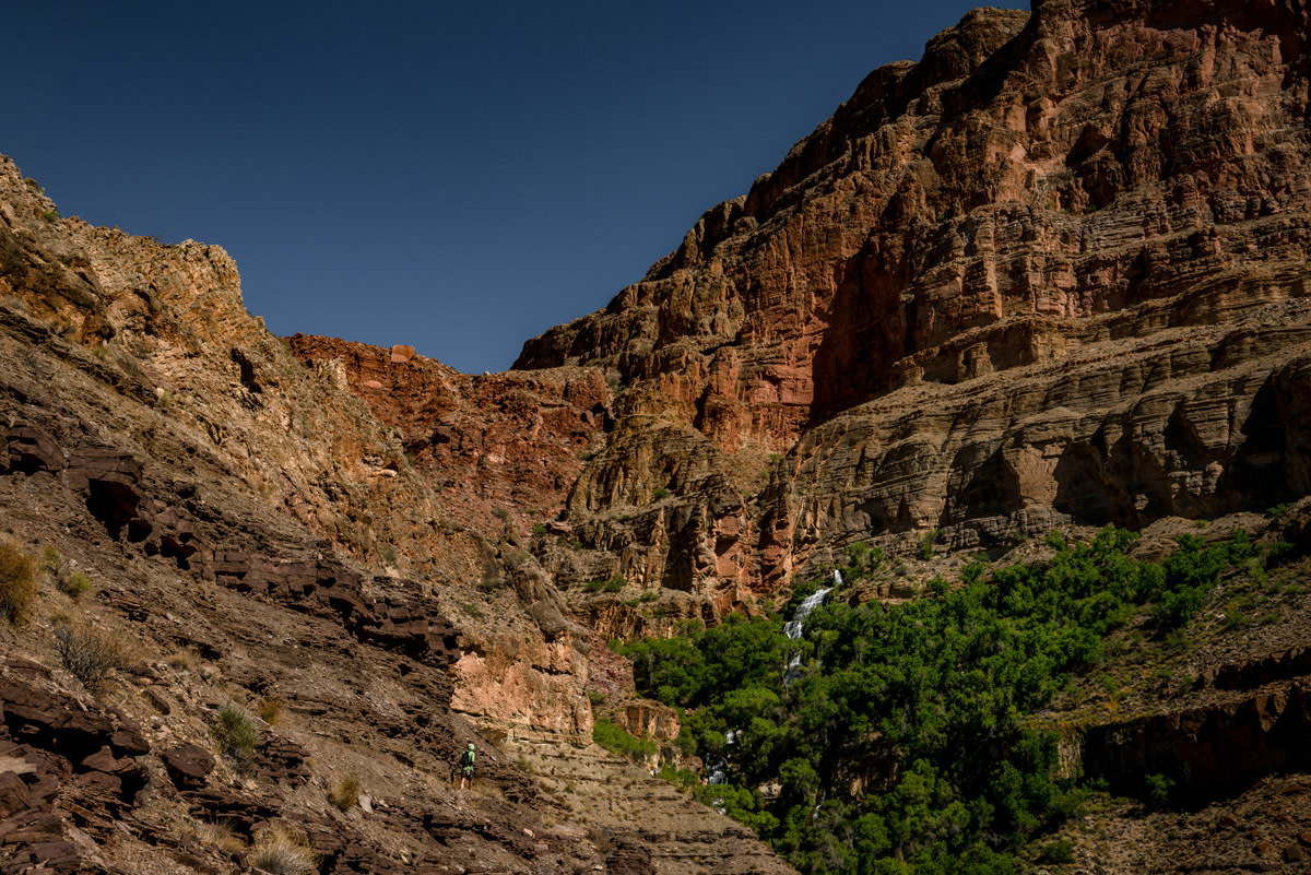 dispatches grand canyon