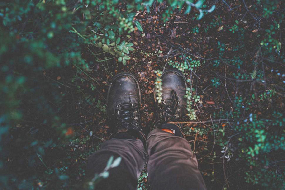 Fall boots