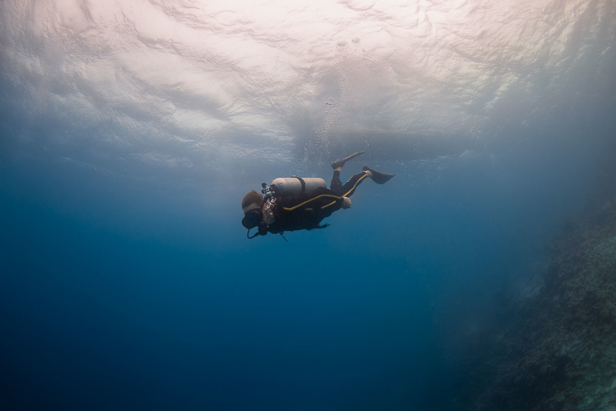 Philippe Cousteau Jr.