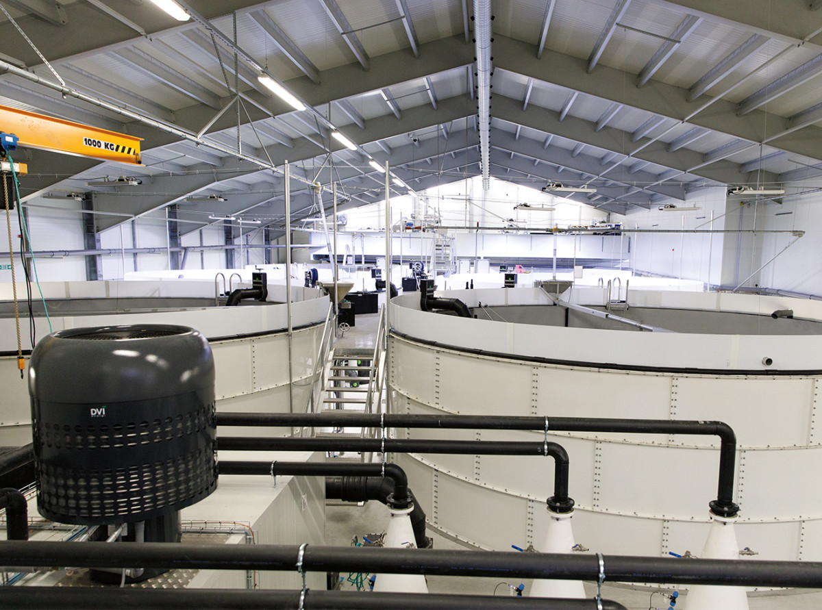 A typical salmon farming facility in Norway