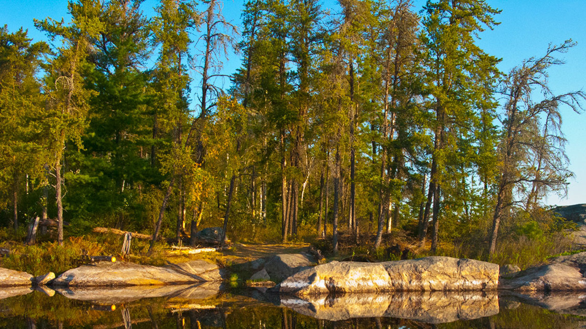 Canada's National Parks