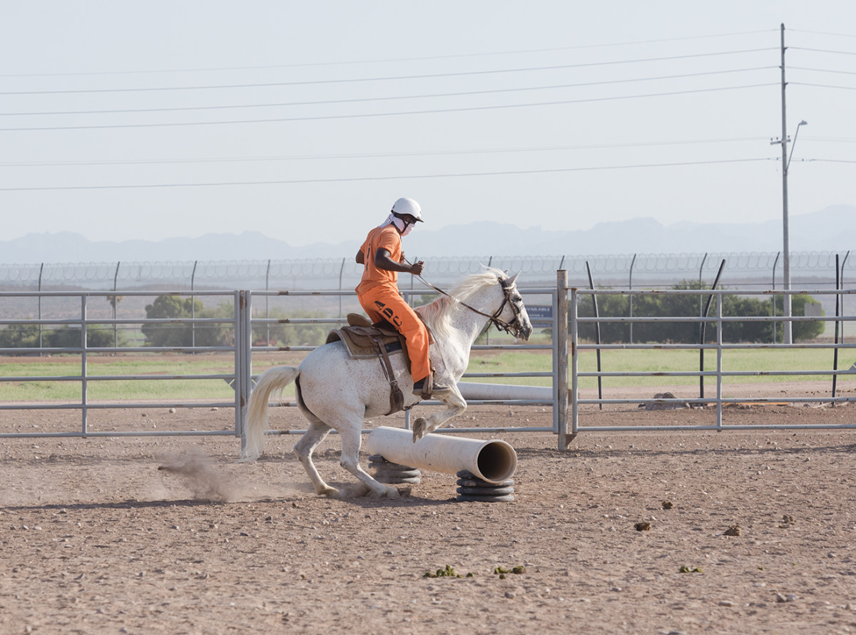 A saddle-trained mustang makes a jump.