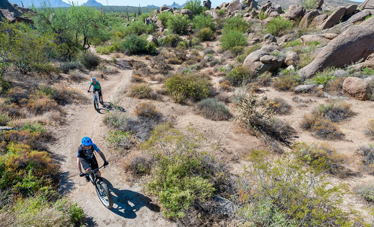 best cities for vegan adventurers
