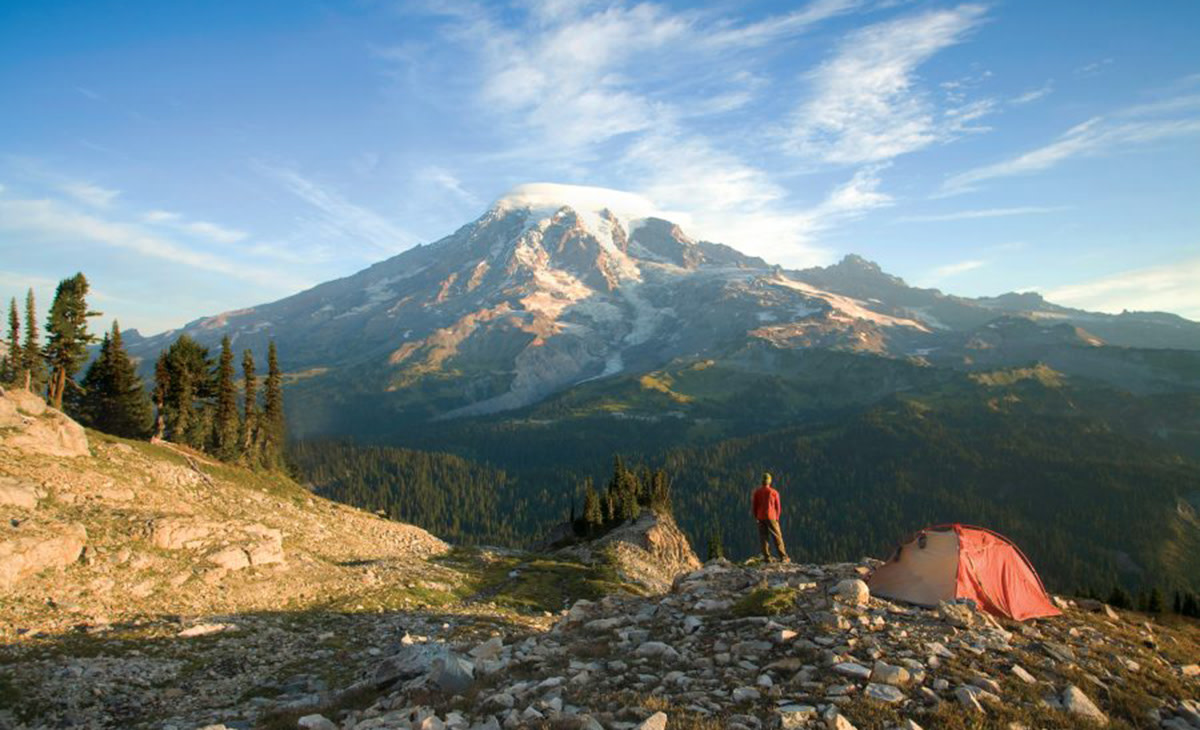 best cities for vegan adventurers