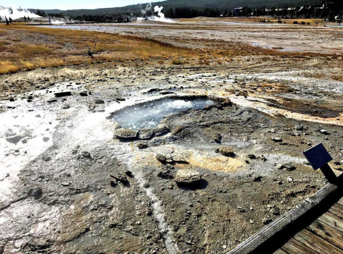 Ear Spring geyser / USGS