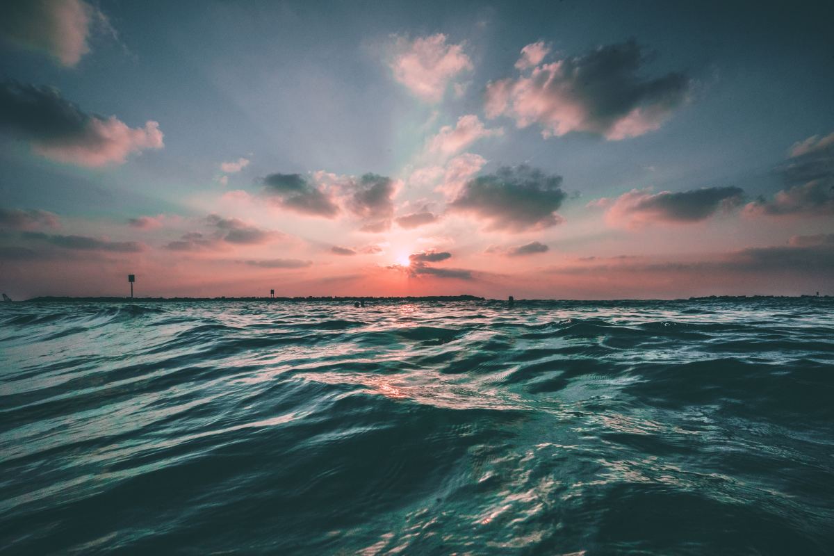 Joseph barrientos 29501 unsplash