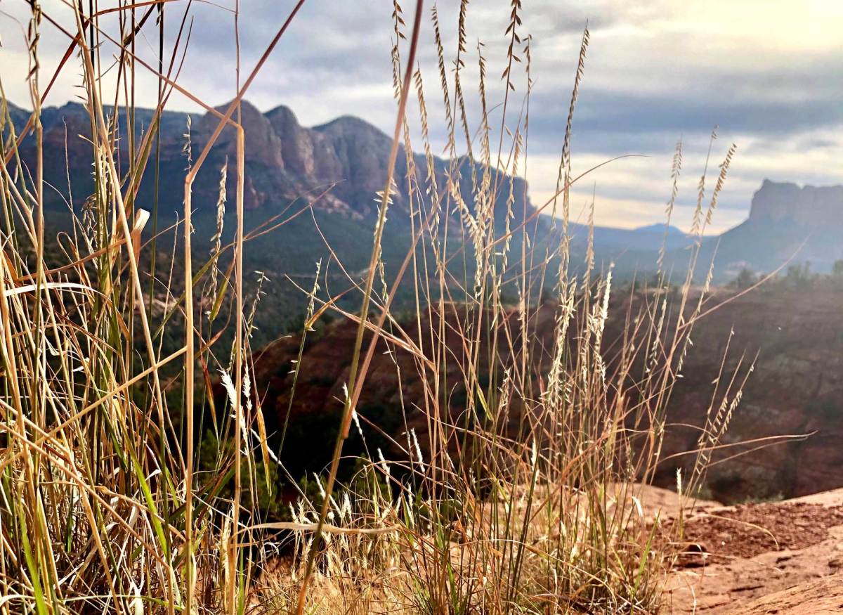 Weekends Sedona