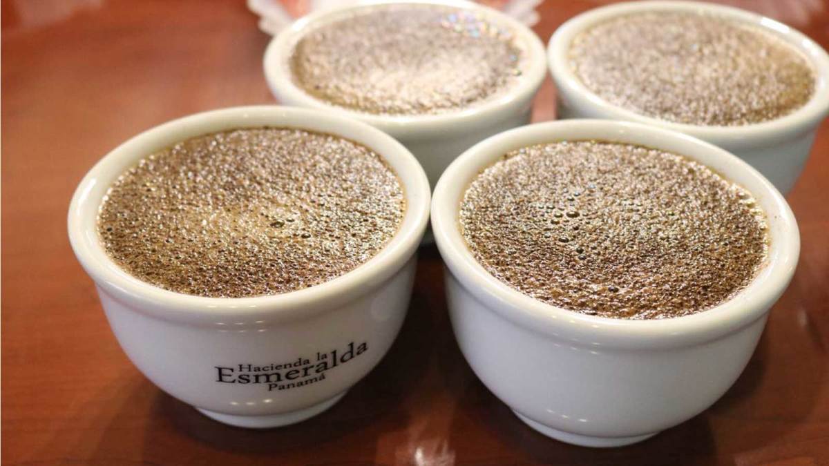 Boquete Panama Coffee