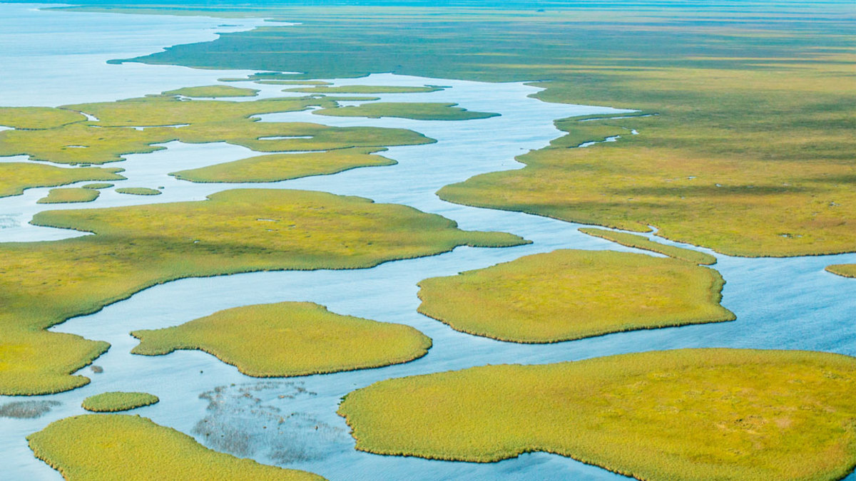 Iberá National Park / Tompkins Conservation
