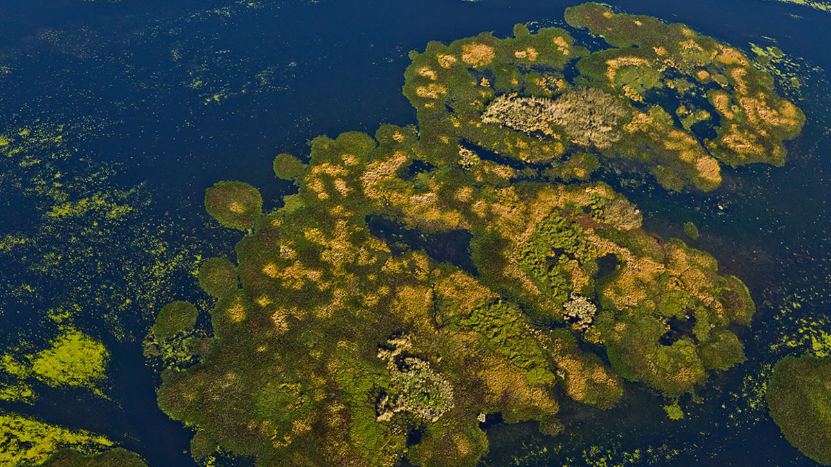 Iberá National Park / Tompkins Conservation