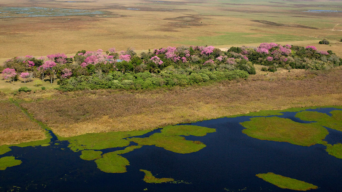 Iberá National Park / Tompkins Conservation