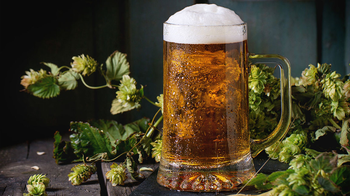 Mug of fresh draught lager beer with foam on black slate, served on old wooden table with green hop and ears of barley. Dark rustic style. (Photo by: Natasha Breen/REDA&CO/UIG via Getty Images)