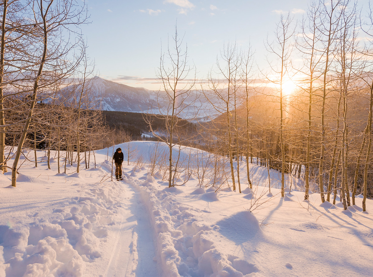 Backcountry snowboarder standing in winter scenery, Crested Butte, Colorado, USA